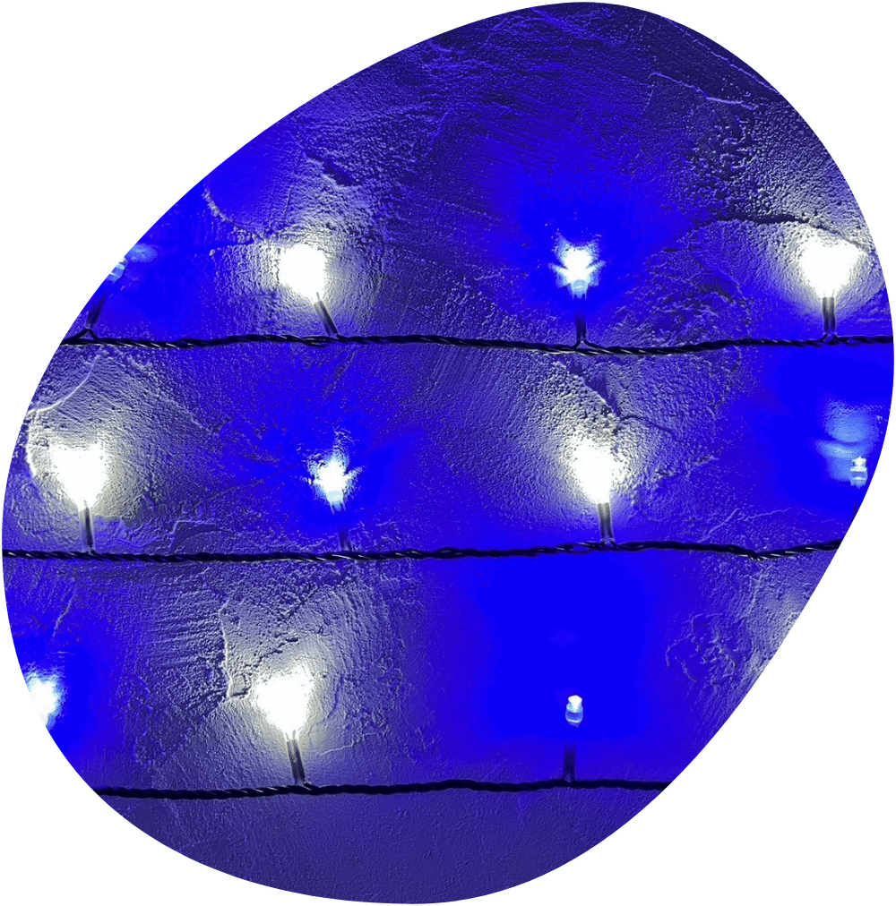 ２芯黒コード  ブルーホワイト色