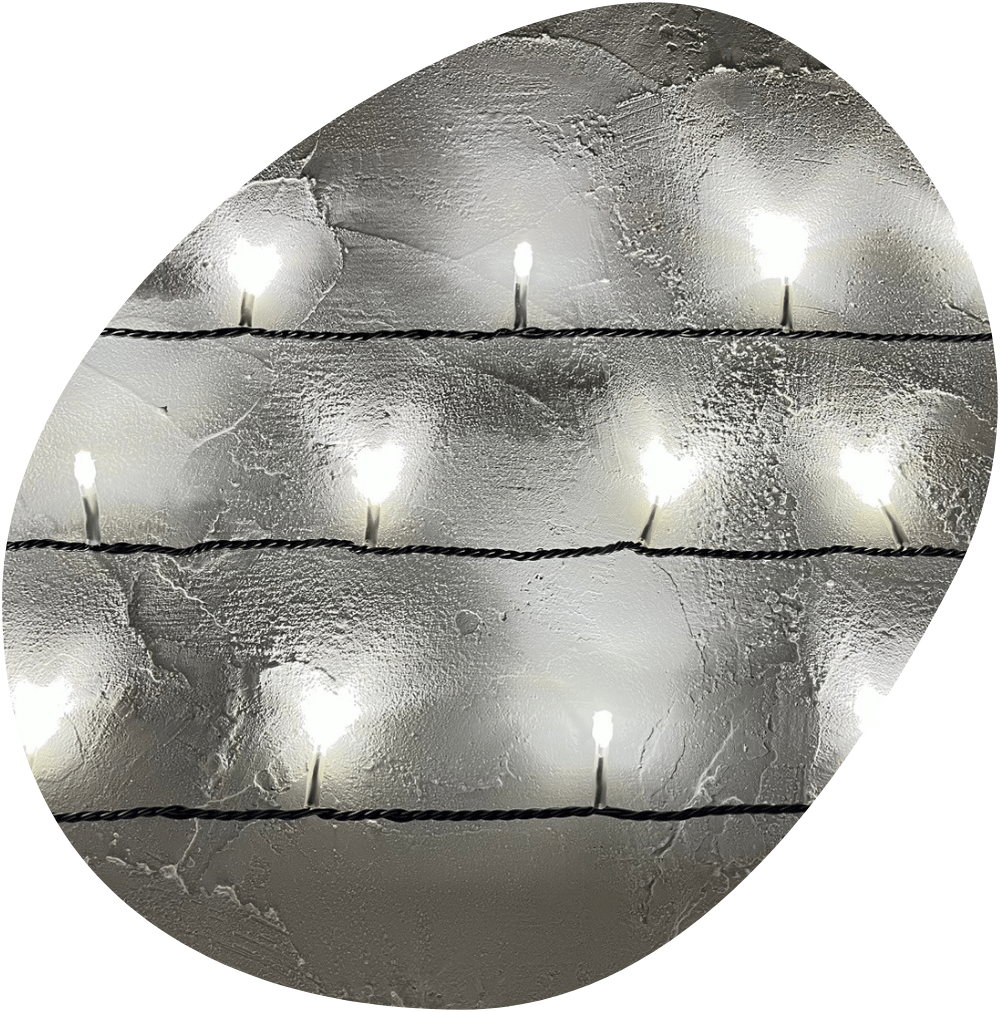 ２芯黒コード  ホワイト色