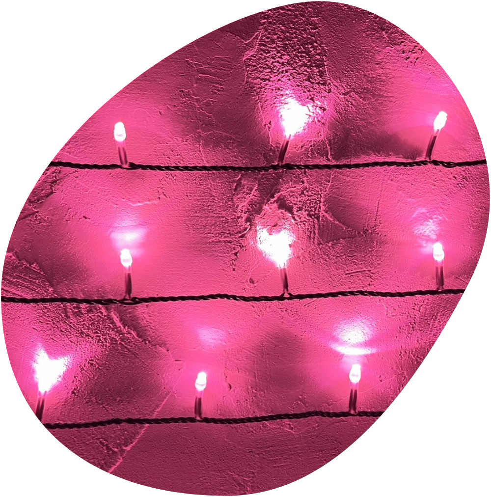 ２芯黒コード　ピンク色