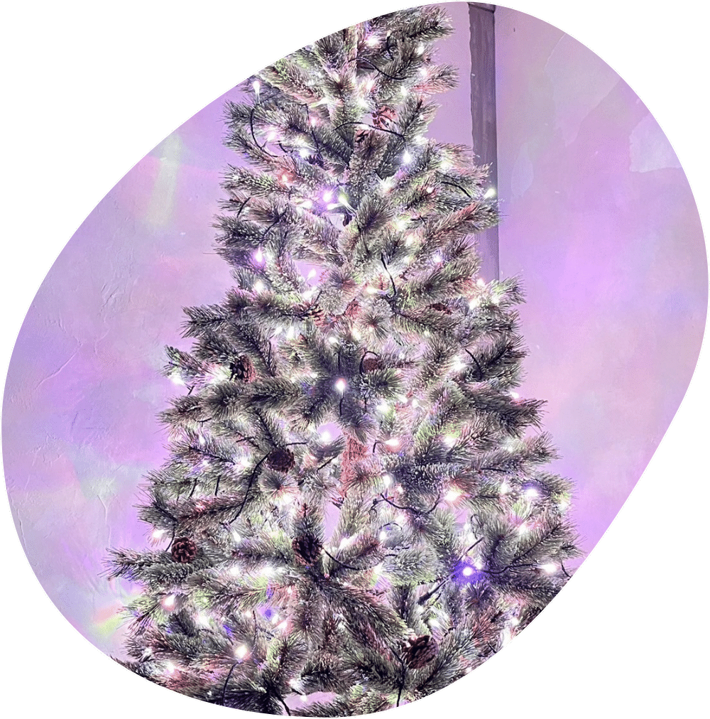 ２芯黒コード  RGBカラー色